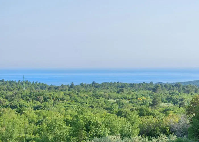 Rita, A Luxurious Private With A Pool Near The Sea Ferienhaus Viskovići